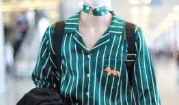 赵磊爆料机场视频播放,揭秘明星出行幕后